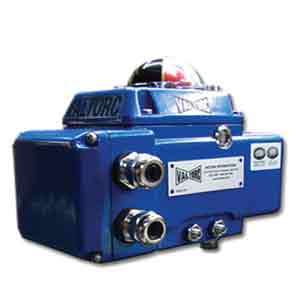 High Performance NEMA 4X and explosion proof Electric actuators